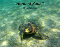 2016 Honu of Kauai Calendar