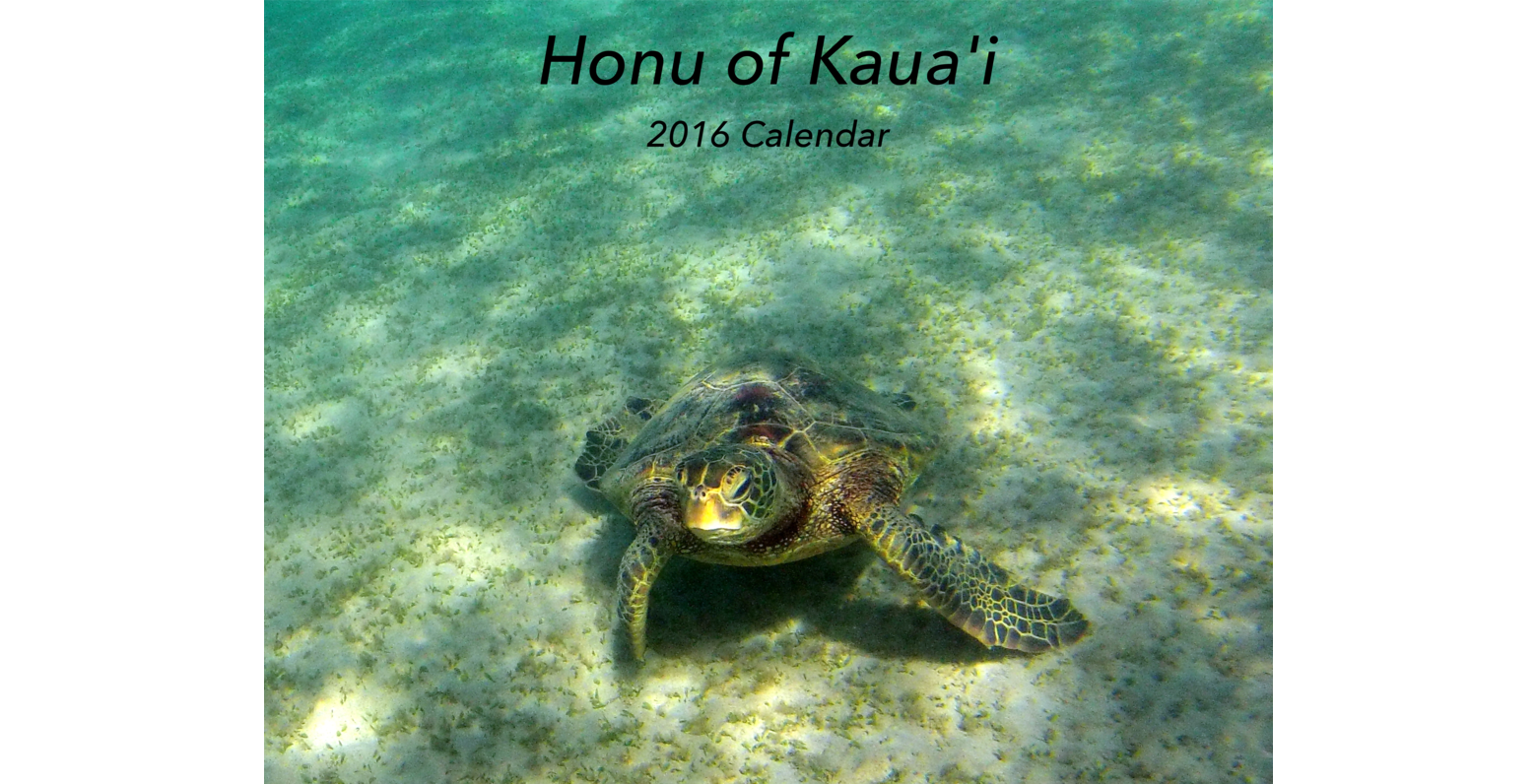 Honu of Kauai Calendar